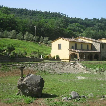 Castiglione In TeverinaAlloggio Turistico Mooneyesアパートメント エクステリア 写真