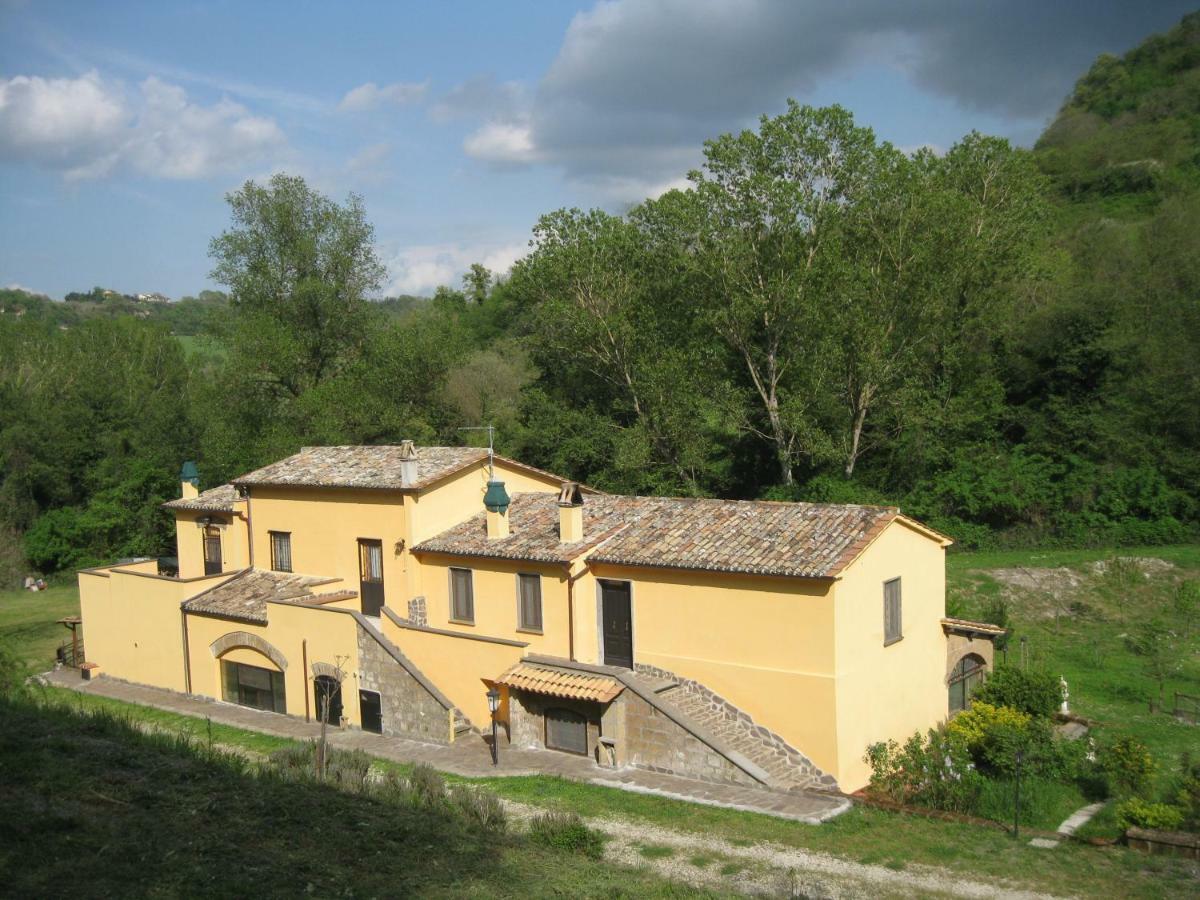 Castiglione In TeverinaAlloggio Turistico Mooneyesアパートメント エクステリア 写真