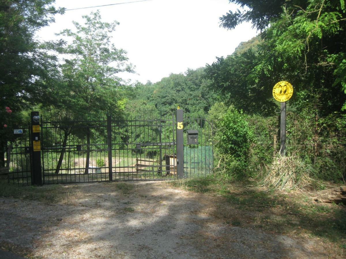 Castiglione In TeverinaAlloggio Turistico Mooneyesアパートメント エクステリア 写真